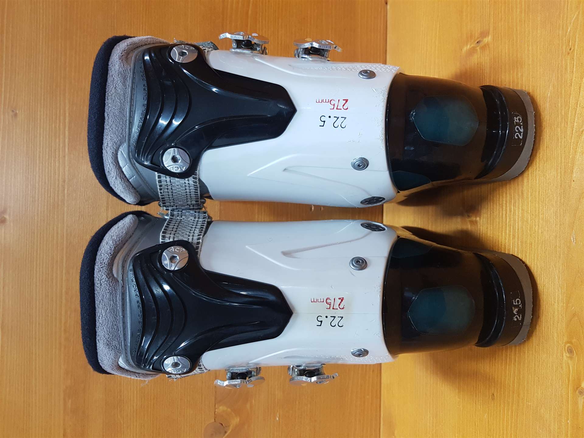 Gebrauchte Skischuhe NORDICA Cruise 75