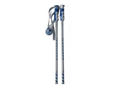Bâtons de ski Rossignol gris
