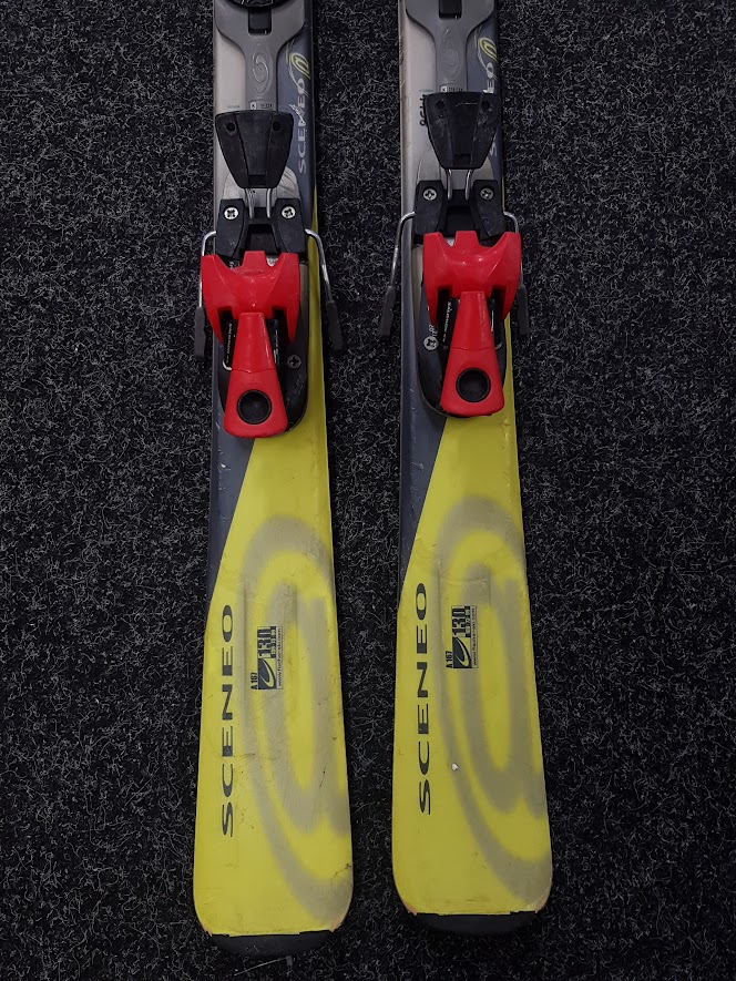 Fischer Sceneo Basar-Ski