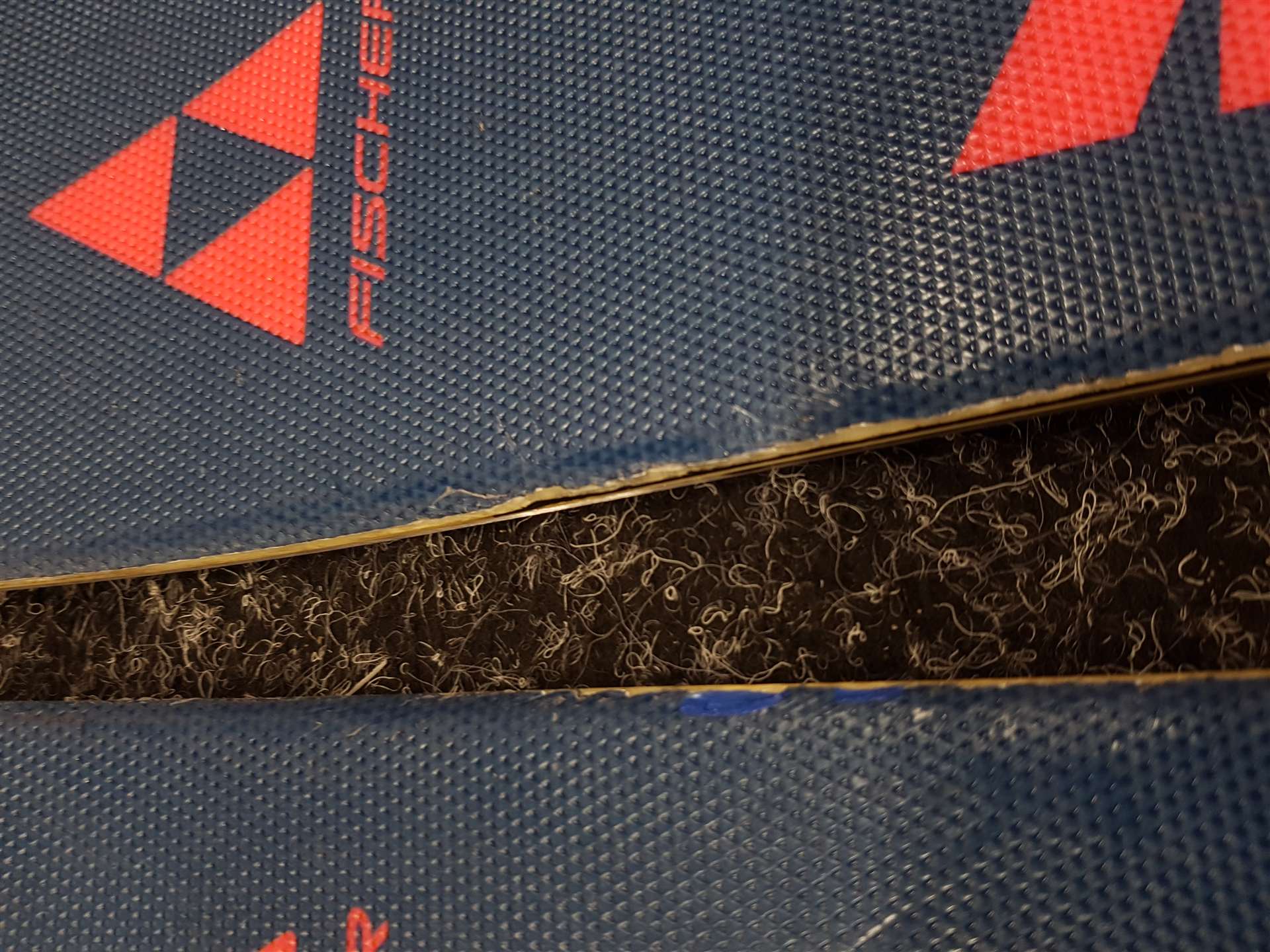Gebrauchte FISCHER The Curv Ski + Fischer RS 10 Bindungen