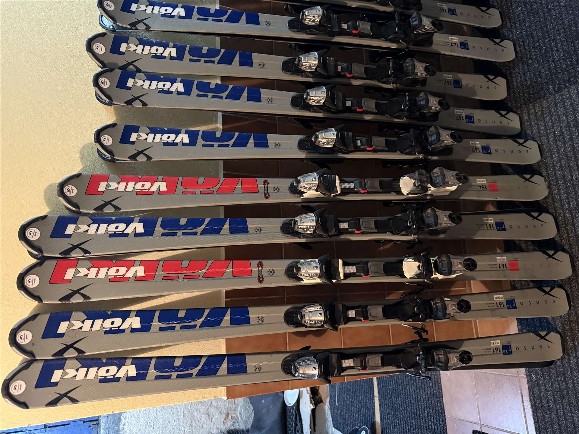 Lyže Volkl 22 kusov - 55€ za kus