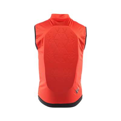 Protector Dainese SCARABEO FLEX LITE