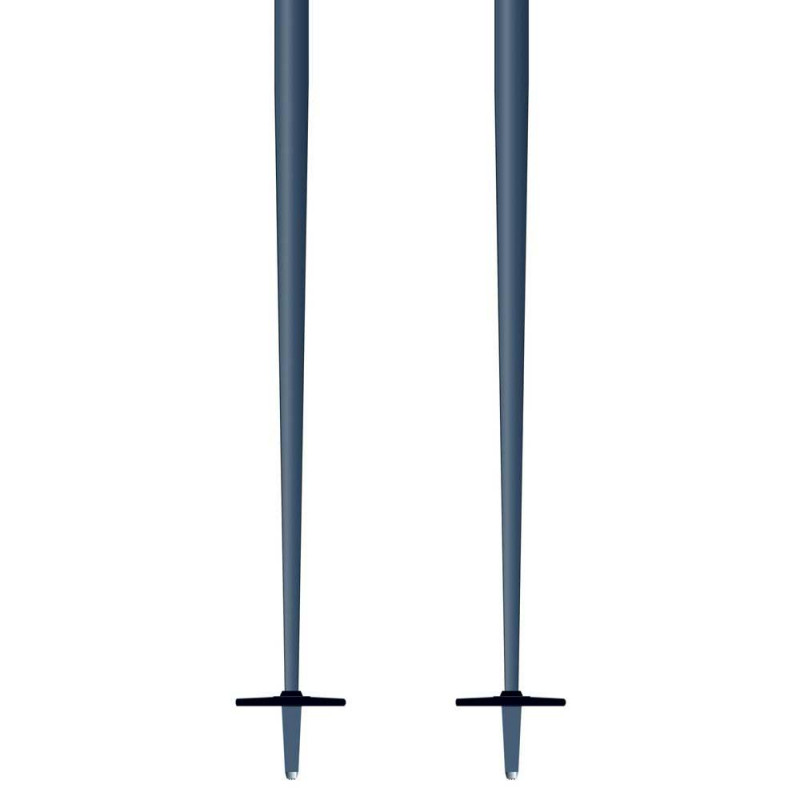 Lyžiarske palice Rossignol tactic grey black