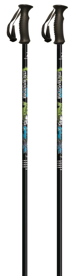 Bâtons de ski Italbastoni Cloud Jr vert/bleu