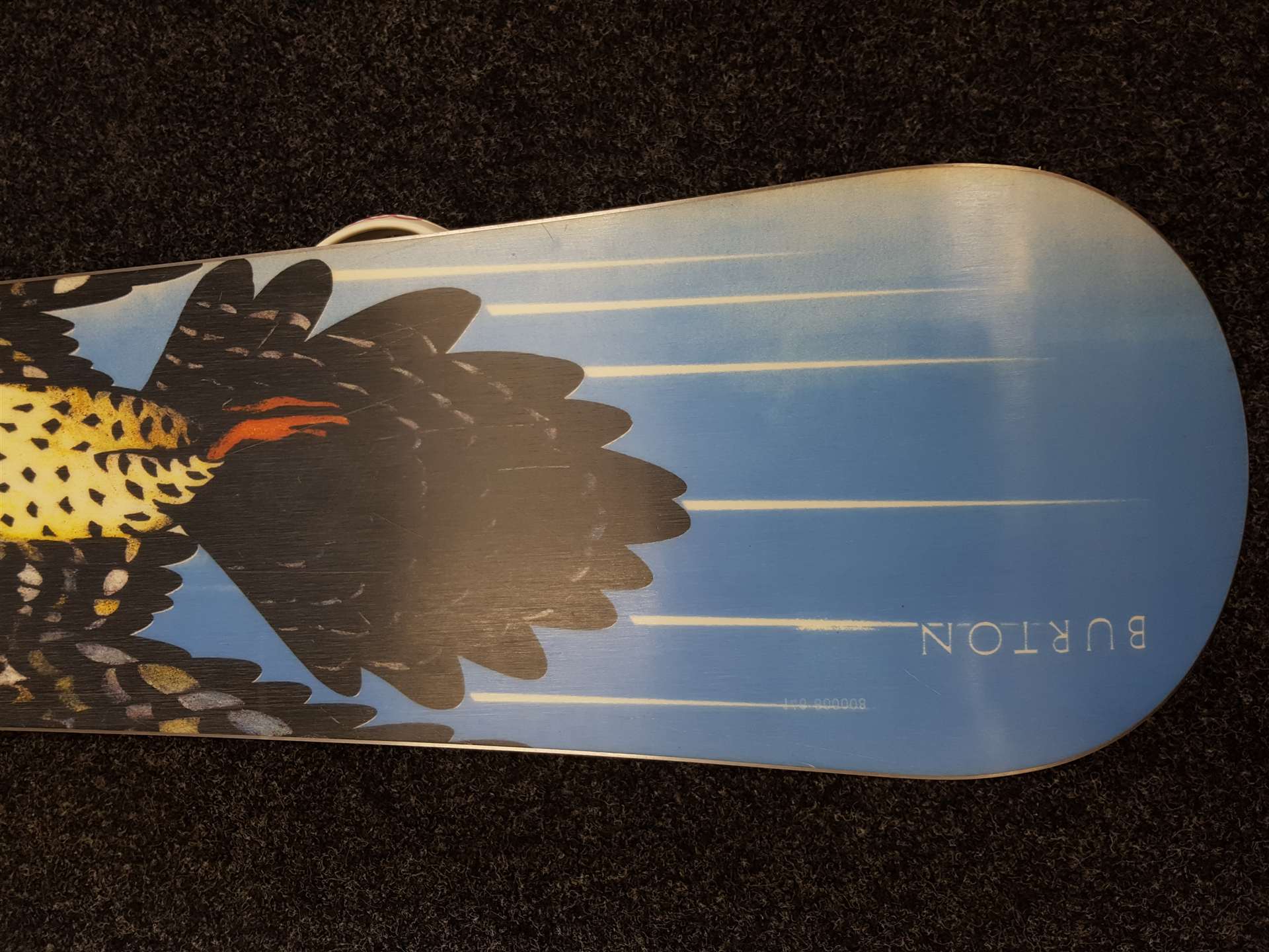 Použitý snowboard BURTON Freedom + viazanie Dub veľkosť M