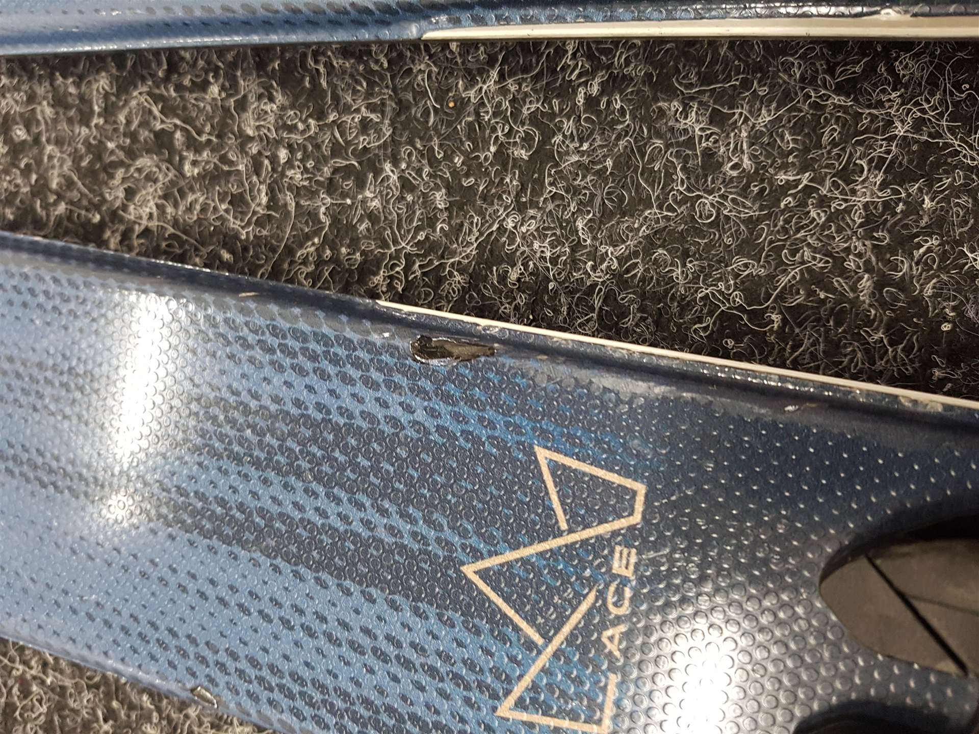 Skis ELAN Ace Pro d'occasion + fixations Elan EL 10