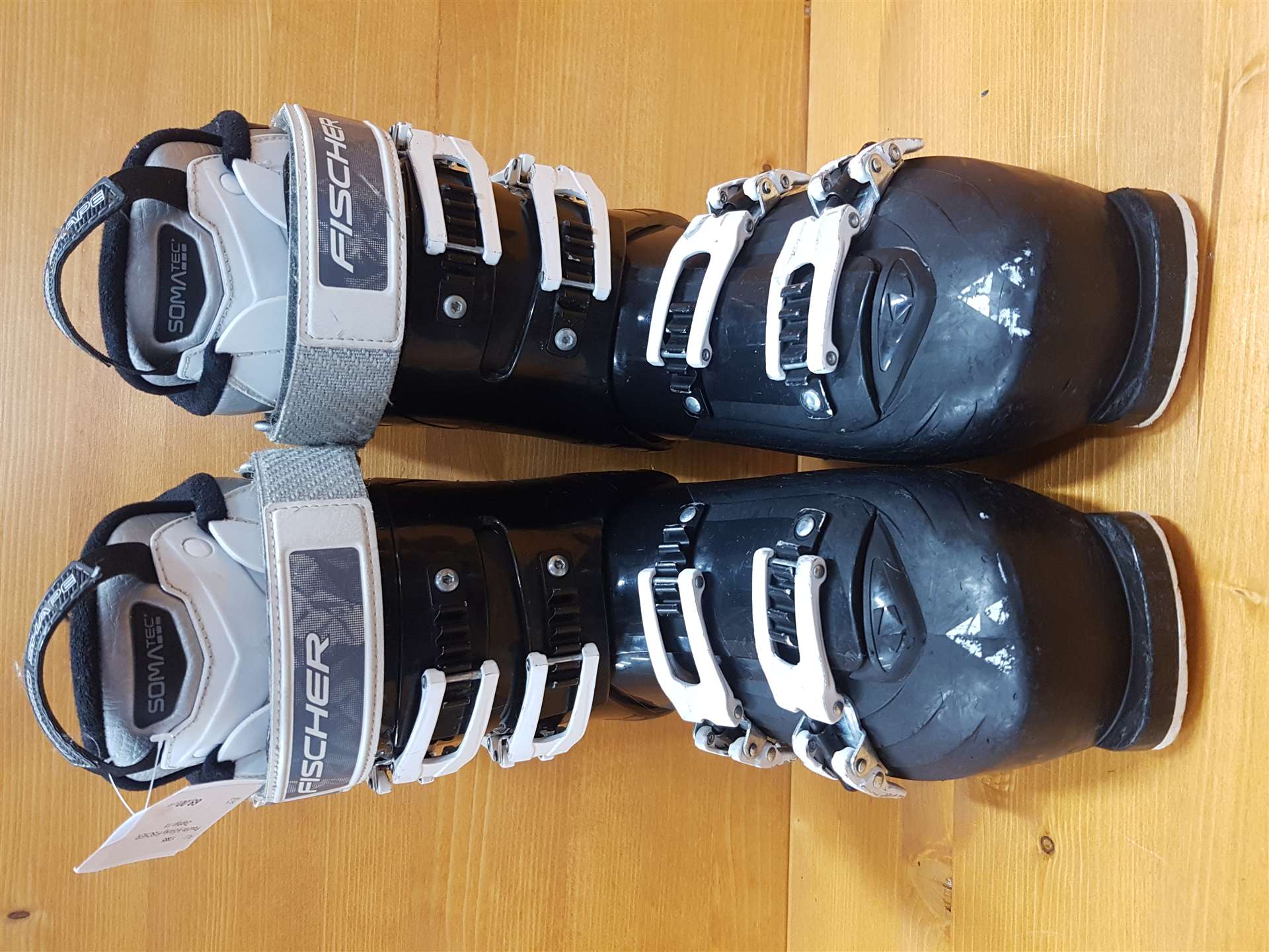 Gebruikte FISCHER Zephyr 11 skischoenen