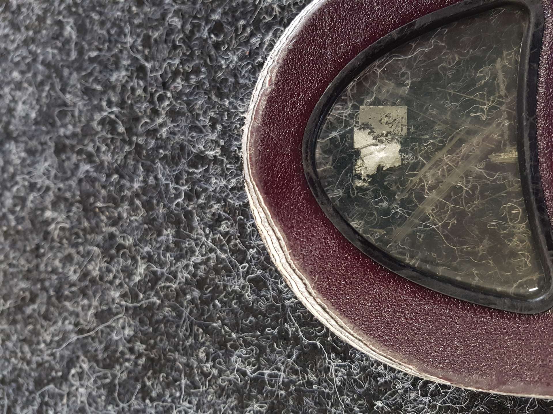 Gebrauchte FISCHER RC4 World Cup SC Ski + Fischer Z12 Bindungen