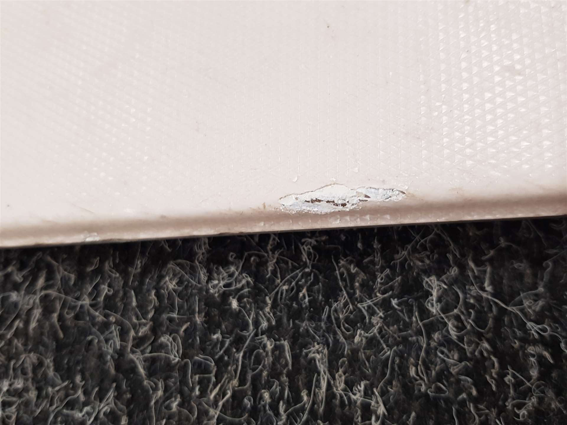 Gebrauchte FISCHER PROGRESSOR Ski